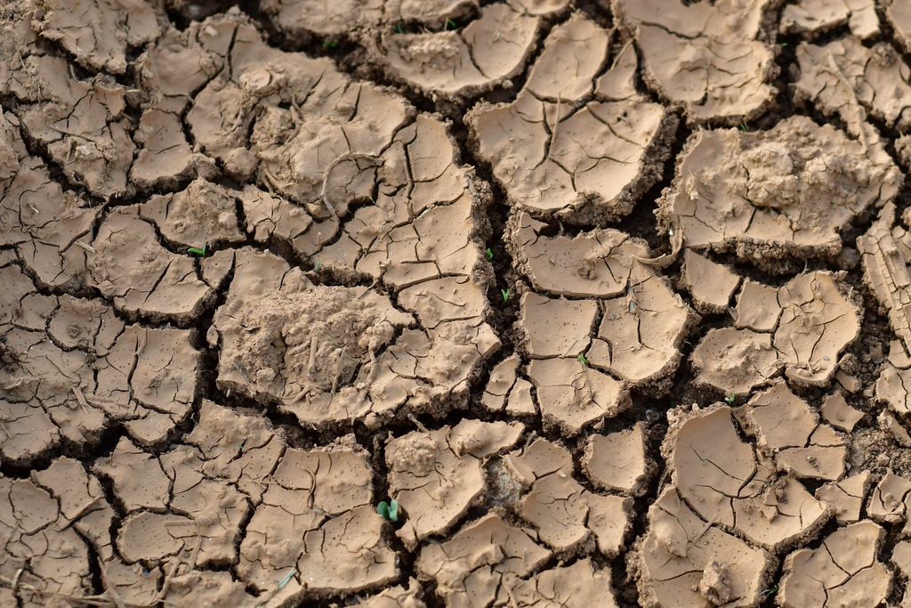 2022-04 Bourgogne/DSC_7074.JPG